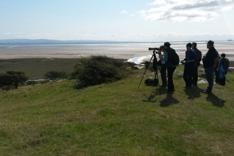 Birdwatching at Humprey Head 2015