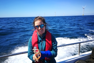 Lydia Tabrizi measuring Dublin Bay prawn