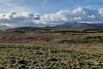 Eycott Hill Nature Reserve 