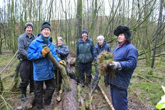 Kendal Conservation Volunteers making hydro hedges at Birds Park