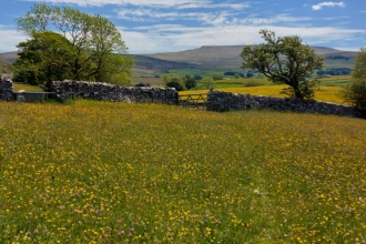 Image of Bowberhead farm and meadows © Cumbria Wildlife Trust