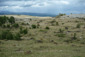 Whitbarrow looking NE 04/06/2020 by Peter and Sylvia Woodhead