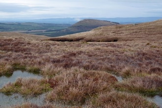 Matterdale Common conservation day