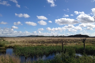 Image of Foulshaw Moss Nature Reserve