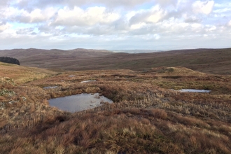 Image of peatland at Shap Fells © Cumbria  Wildlife Trust