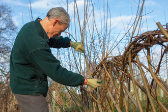 Volunteer Chris Dove in Gosling Sike Garden Willow Weaving