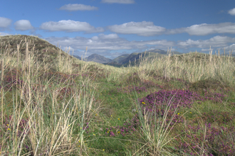 Dunes at Drigg
