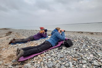 Image of Lucy Mather left and Dani Cifford surveying grey seals at South Walney credit Cumbria Wildlife Trust