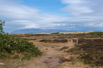 North Walney looking to Black Combe