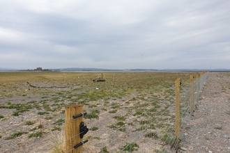 Image of new permanent predator-proof fence at South Walney Nature Reserve © Cumbria Wildlife Trust