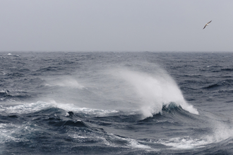 Choppy waves in the sea