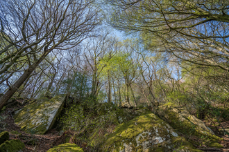 Image of Craggy Wood © Amy Bateman