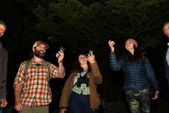 A group of people standing in a dark forest, holding up bat detectors.