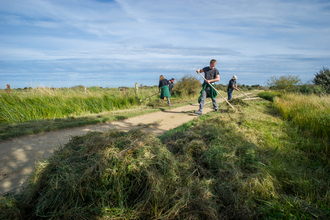 volunteer wildlife trust