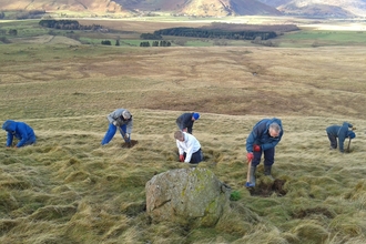 Volunteers at Eycott Hill planting juniper