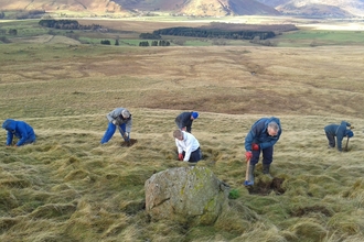 Volunteers at Eycott Hill planting juniper