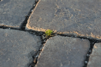 hard paving