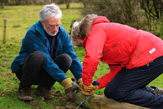 Brown Robin Volunteers