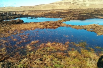 Image of Armboth Fell after peatland restoration credit Cumbria Wildlife Trust