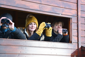 Four people sitting inside a wooden hide, holding binoculars