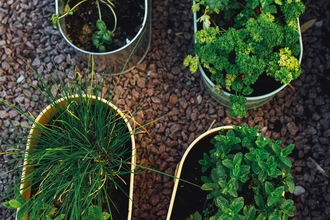 Herbs