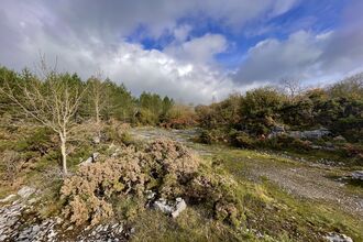 Image of Holme Park Quarry Local Nature Reserve credit Cumbria Wildlife Trust