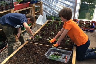 Two boys planting seedlings in a wooden planter