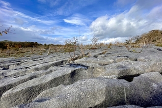 Image of limestone pavement at Clawthorpe Fell National Nature Reserve credit Cumbria Wildlife Trust