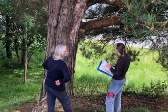 Two women standing in front of a tree, surveying a bat box attached to it