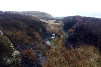 Image of peat gulley credit Cumbria Wildlife Trust