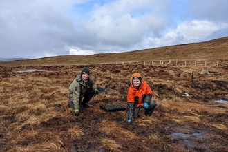 Image of plug planting on Armboth Fell credit Cumbria Wildlife Trust