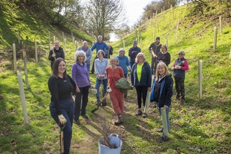 A group of people planting trees in a green area