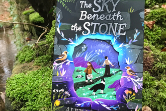 The Sky Beneath the Stone by Alex Mullarky book cover