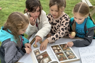 Four young girls standing around a table outdoors, looking at a book of fungi