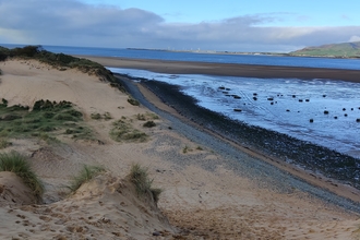  Sandscale Haws beach Dynamic Dunescapes