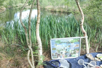 Pond dipping equipment Foulshaw Moss