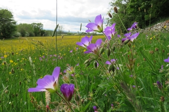 Bowber Head Farm Cumbria credit Cumbria Wildlife Trust