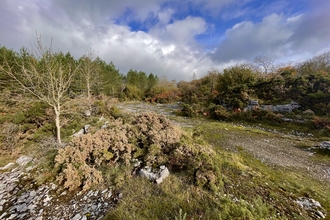 Holme Park Quarry Nature Reserve copyright Pete Jones