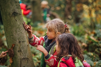 Image of children looking at tree credit Helena Dolby for Sheffield and Rotherham Wildlife Trust