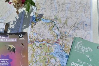 Ambleside Action for the Future