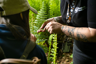 Two people looking at a piece of fern