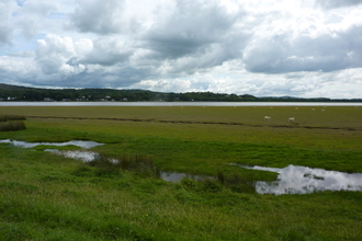 The-Kent-estuary