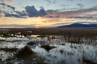 Image of Roanhead credit Eve Mulholland