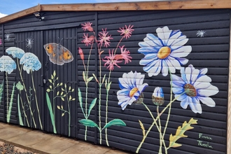Image of wildlife mural painted by Florence Thornton on seed bank at Gosling Sike credit Cumbria Wildlife Trust