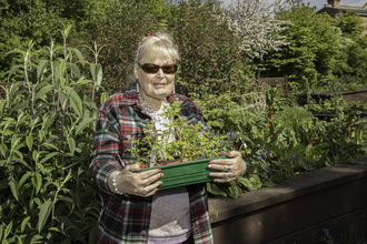 Person holding a tray of plants in a garden