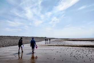 The Bay Beach Clean litter picking