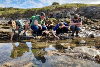 Image of people looking in rockpool