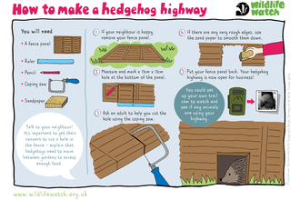 An illustrated sheet describing how to make a hedgehog highway in your garden.