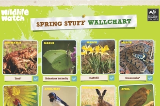 An image of part of a spring species spotter wallchart