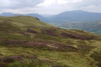 armboth fell peatland restoration